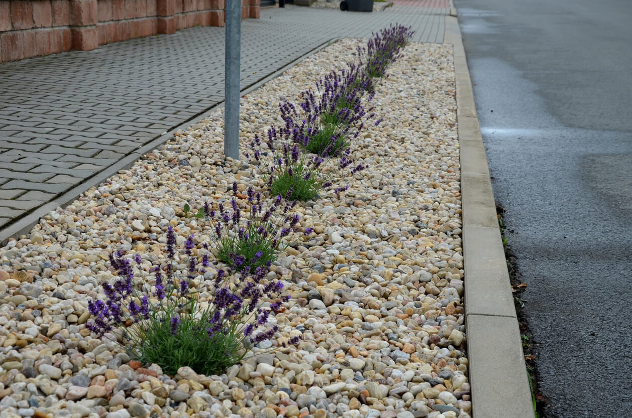 American gardens landscaping xeriscaping project 1