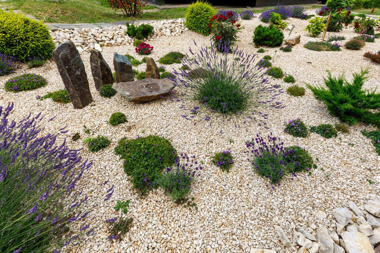 American gardens landscaping xeriscaping project 3