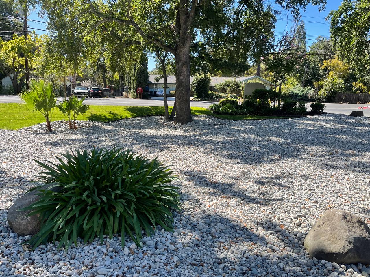American gardens landscaping xeriscaping project 5