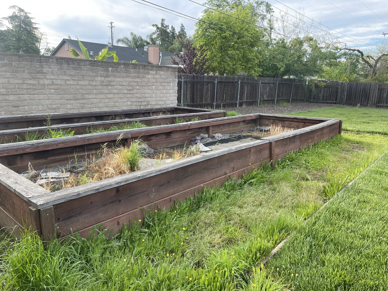 american gardens landscaping project landscaping 1