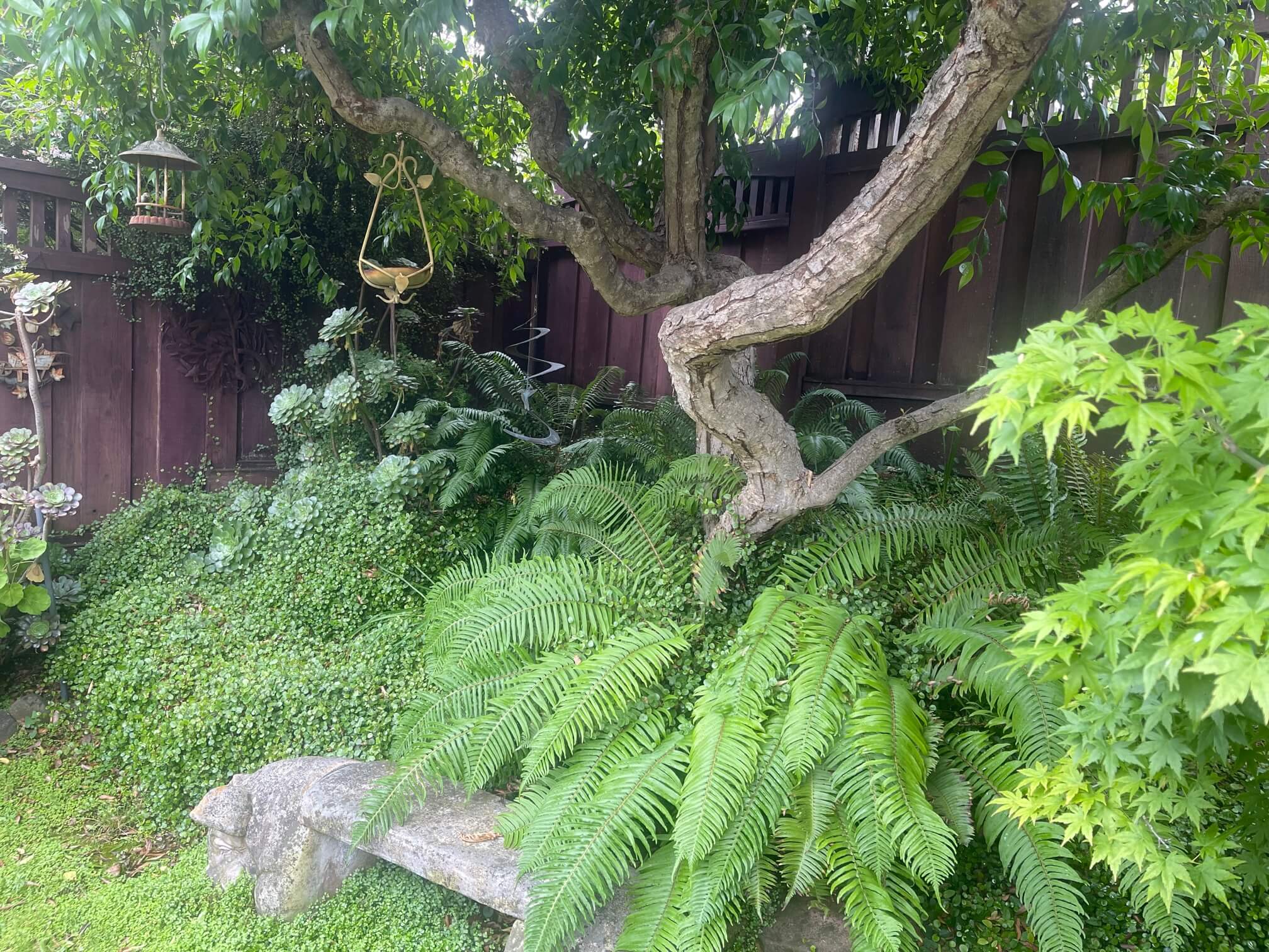 american gardens landscaping project landscaping 10