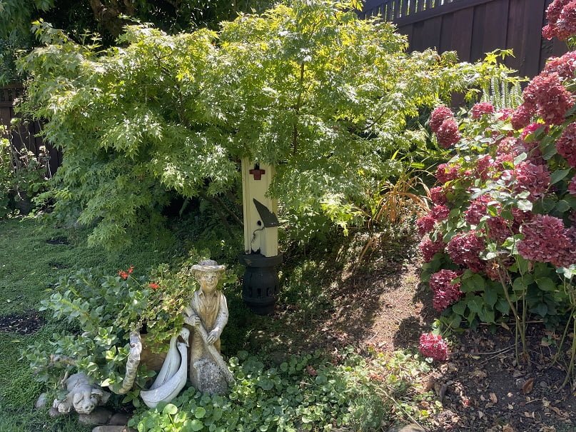 american gardens landscaping project landscaping 11