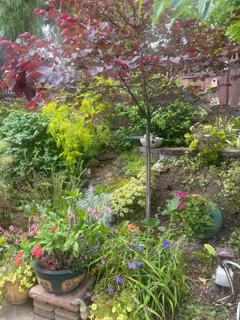 american gardens landscaping project landscaping 12