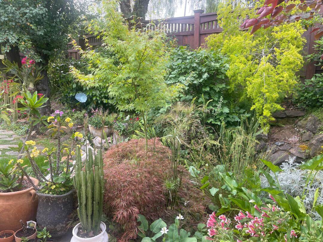 american gardens landscaping project landscaping 8