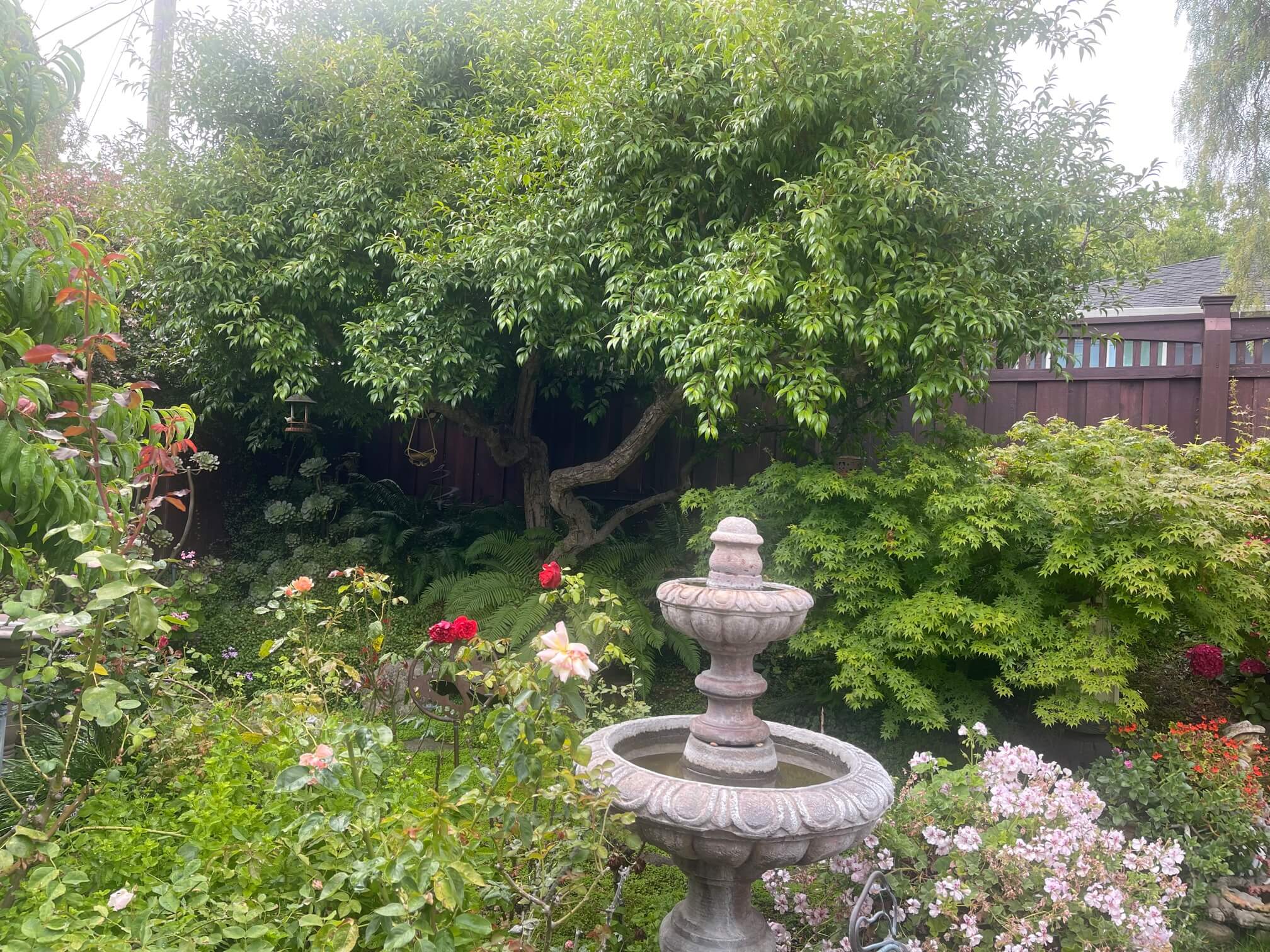 american gardens landscaping project landscaping 9