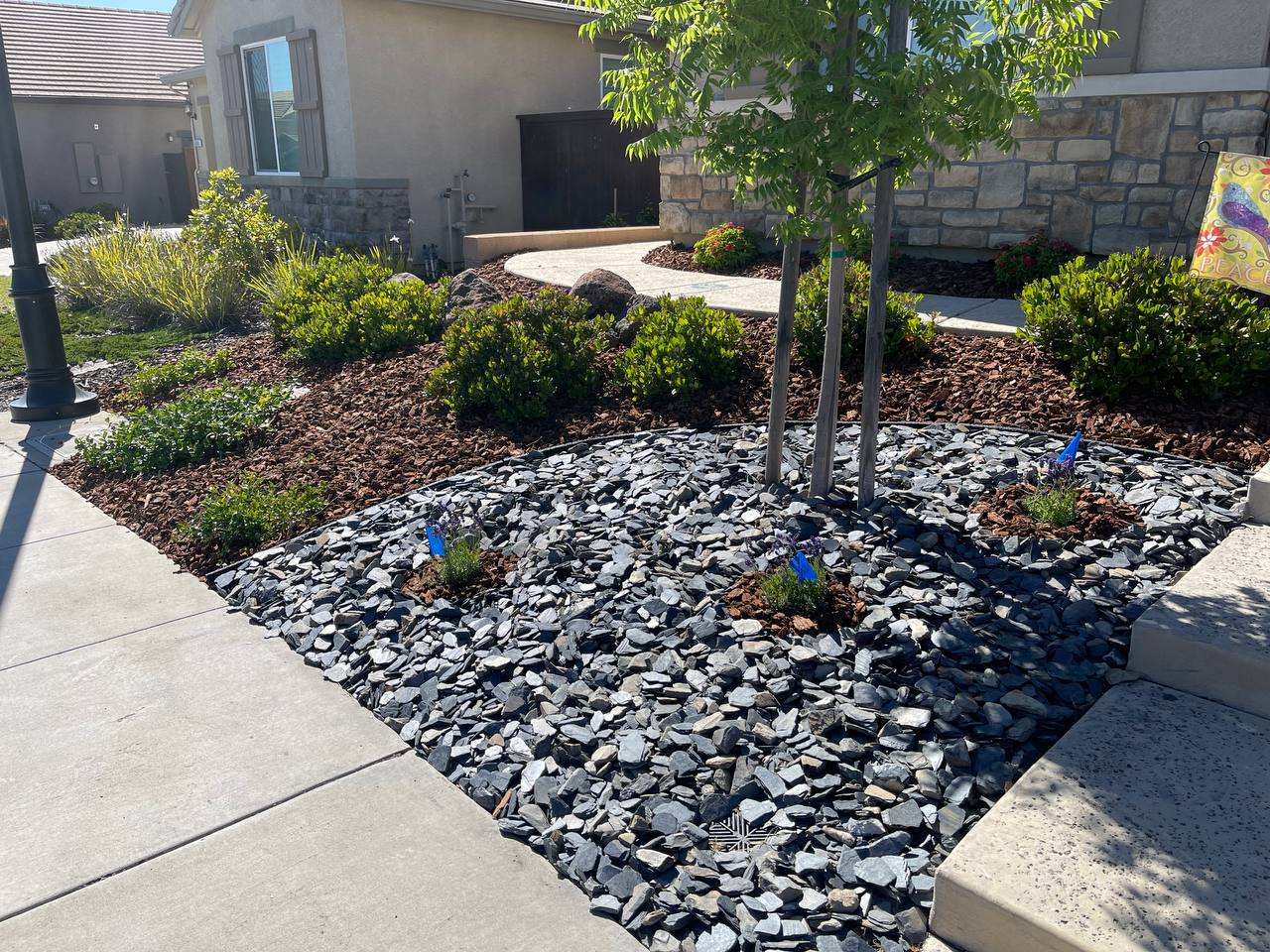 American gardens landscaping xeriscaping project 14