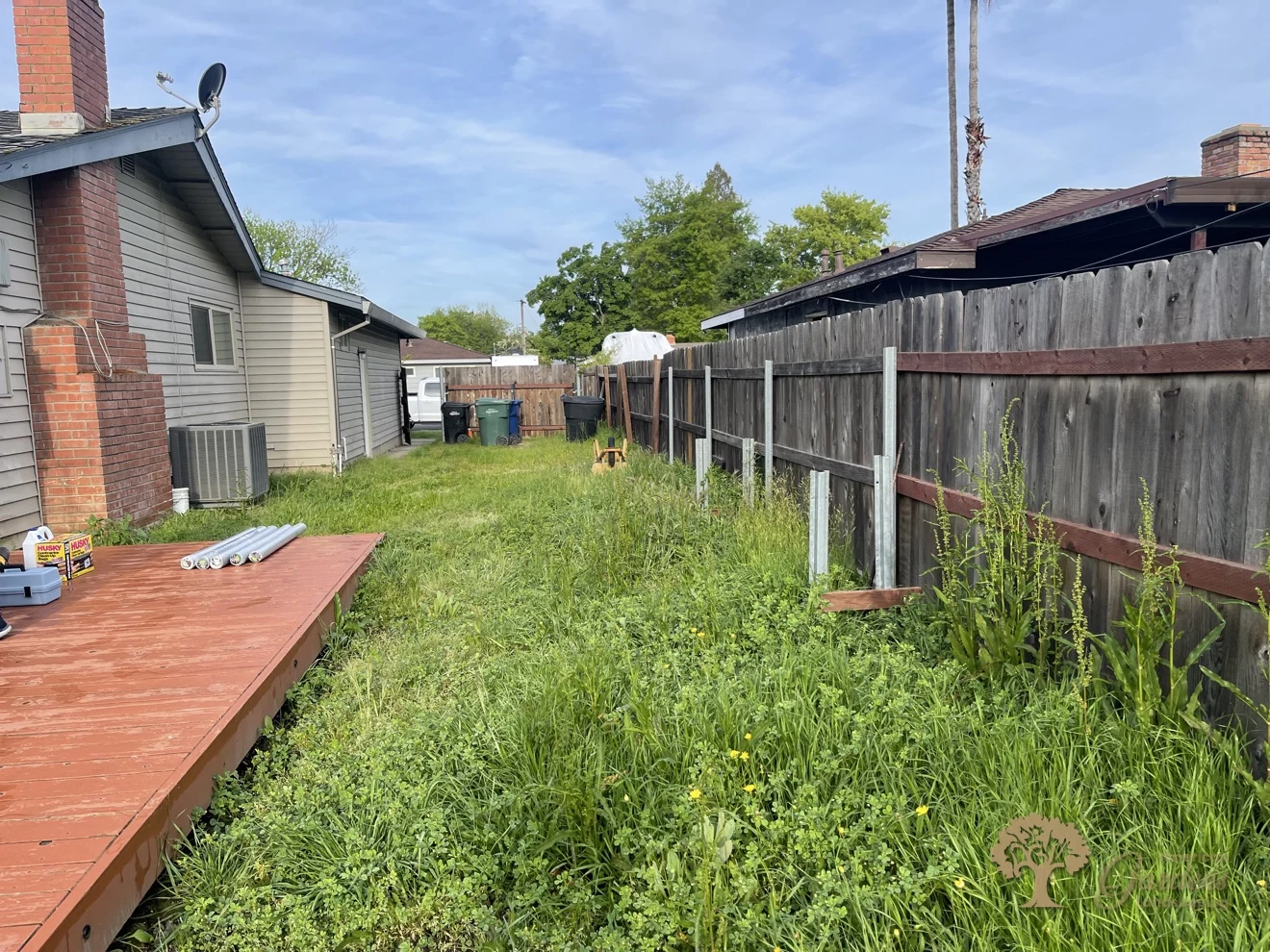 Tall weeds covering a side yard beside a deck before cleanup in Carmichael