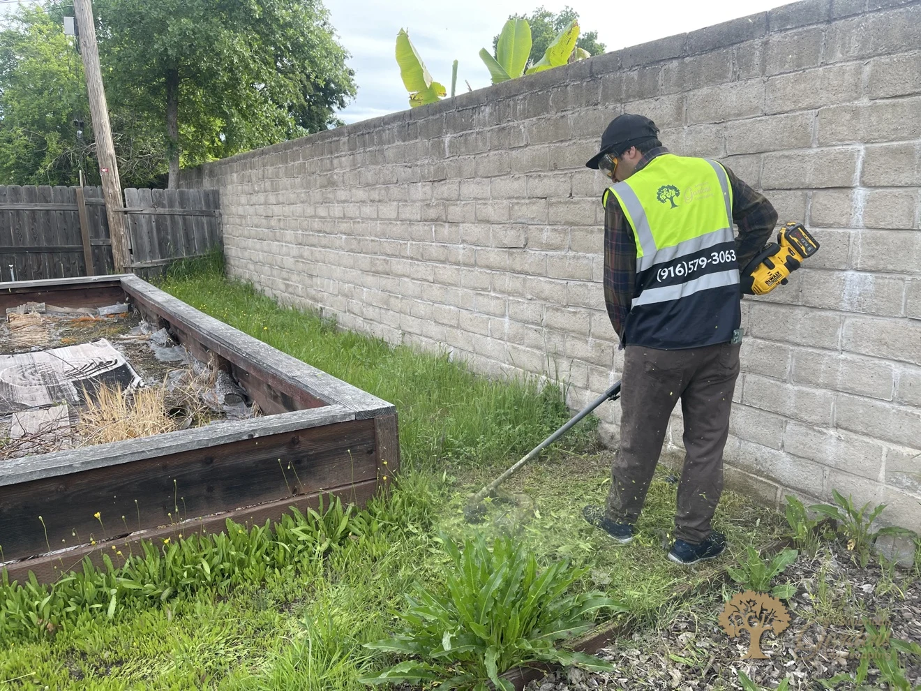 American Gardens crew member in a branded hi-vis vest trimming weeds along a block wall in Carmichael