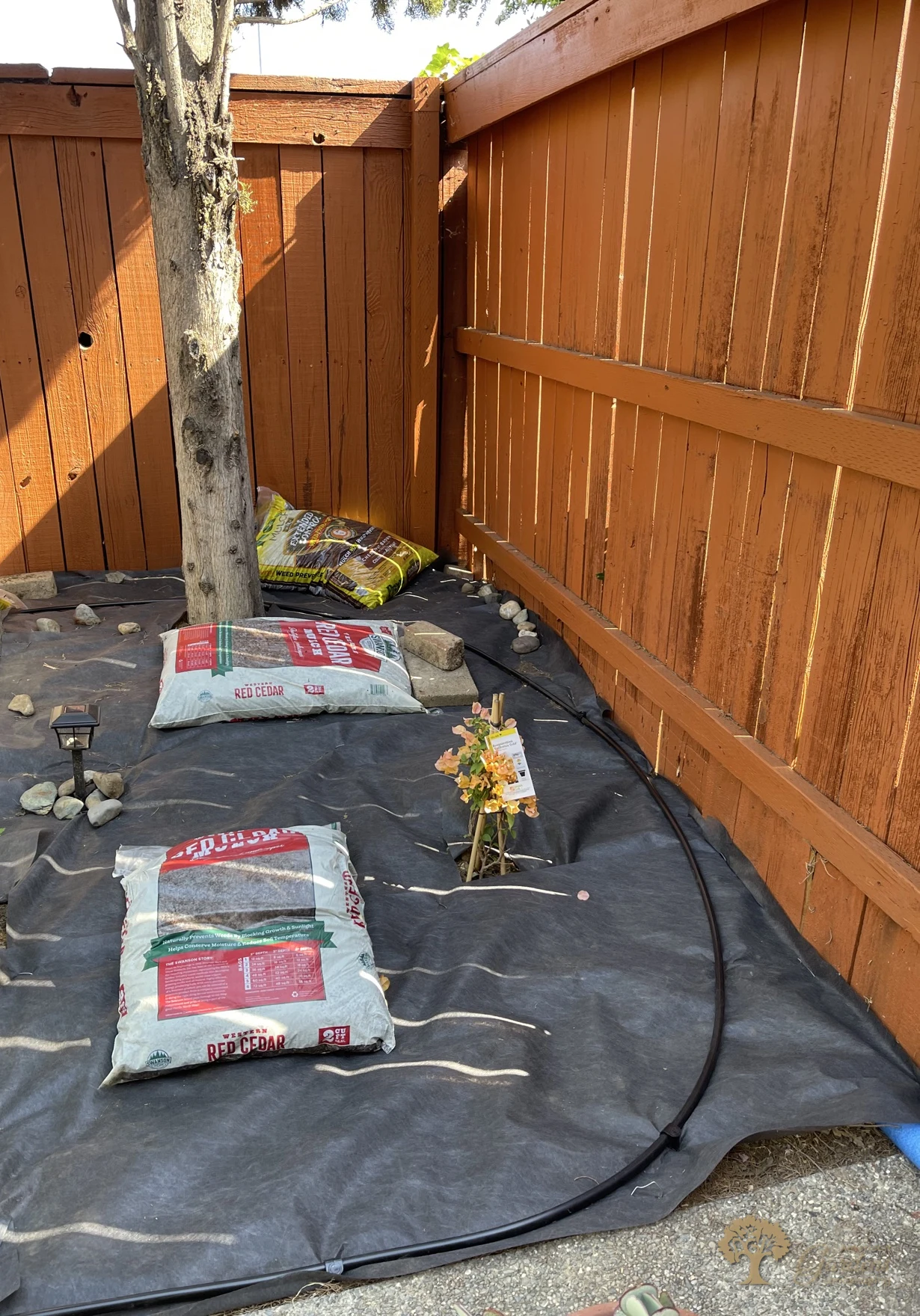 Citrus Heights Backyard Landscaping – New Drip Irrigation Line – American Gardens Landscaping