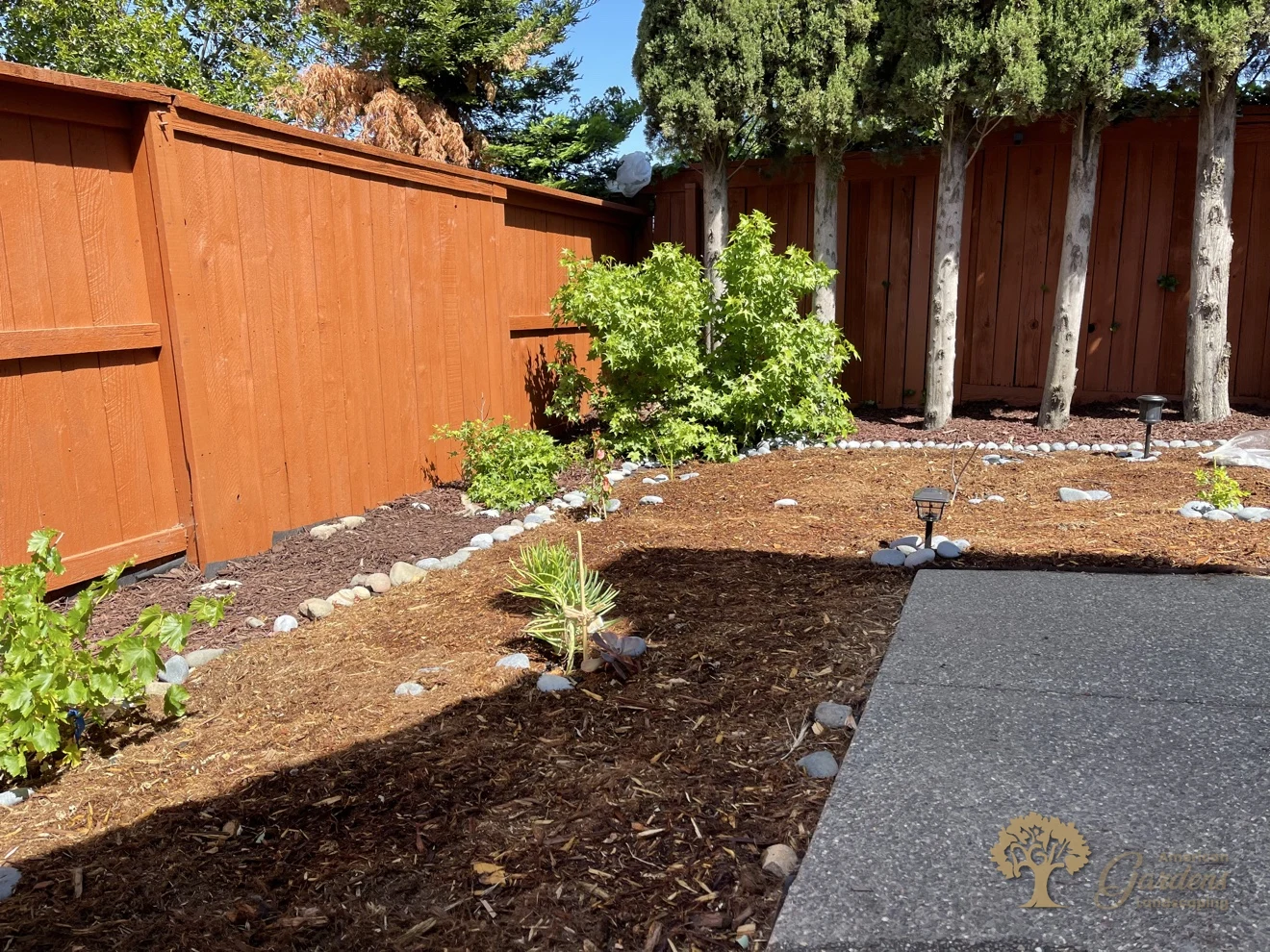 Citrus Heights Backyard Landscaping – Finished Mulch Bed with River-Rock Border – American Gardens Landscaping