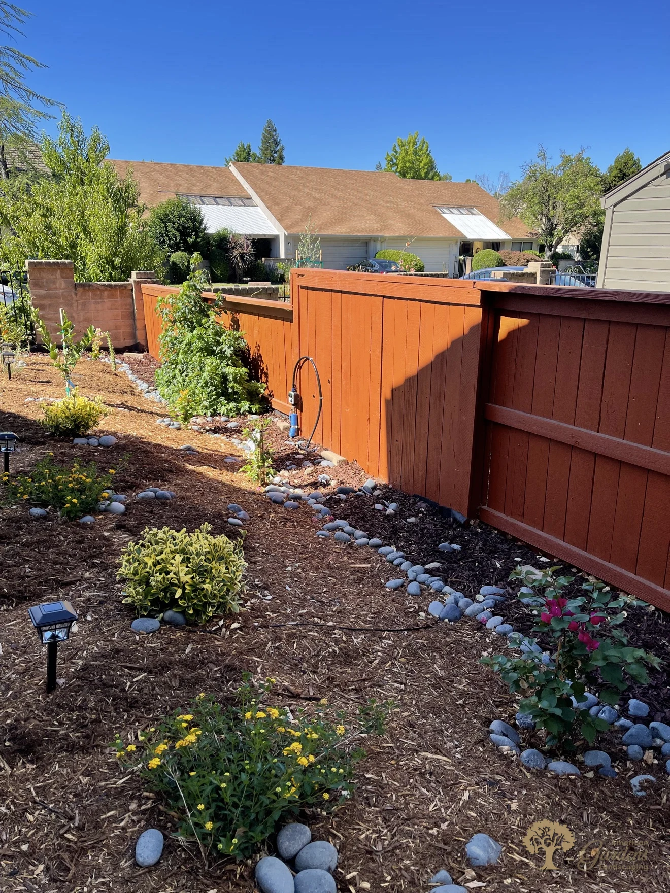 Citrus Heights Backyard Landscaping – Finished Fence-Line Planting Bed – American Gardens Landscaping