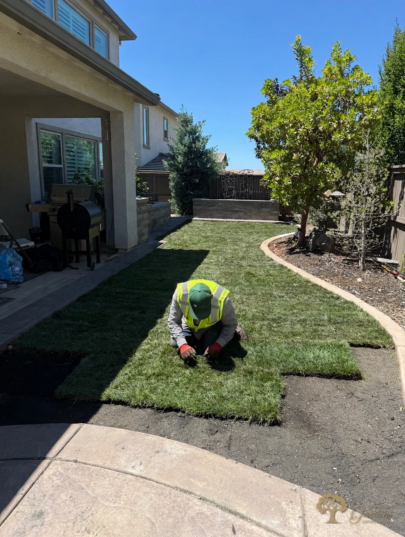 American Gardens Landscaping crew member kneeling to fit fresh sod rolls edge to edge during a lawn installation in El Dorado Hills.