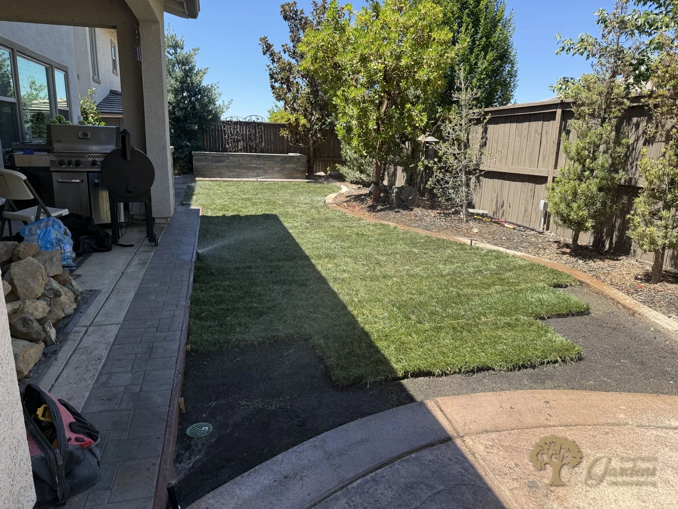 New sod halfway installed over the prepared soil beside the paver walkway in El Dorado Hills, by American Gardens Landscaping.