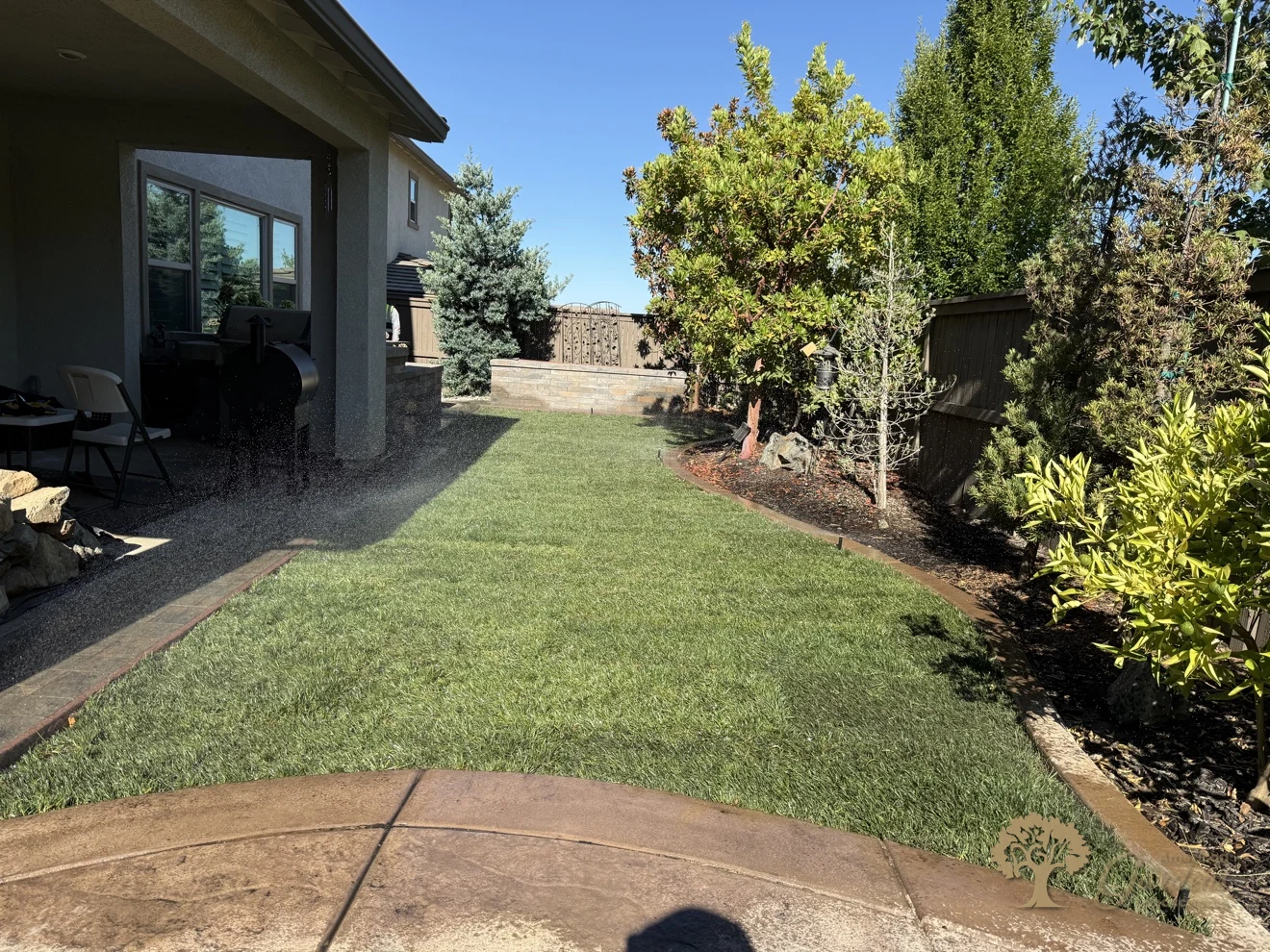 Finished new sod lawn with clean curved borders in a Serrano backyard in El Dorado Hills, by American Gardens Landscaping.