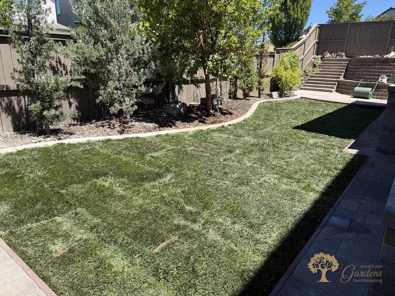 Wide view of the finished sod lawn from the terrace steps in El Dorado Hills' Serrano neighborhood, by American Gardens Landscaping.