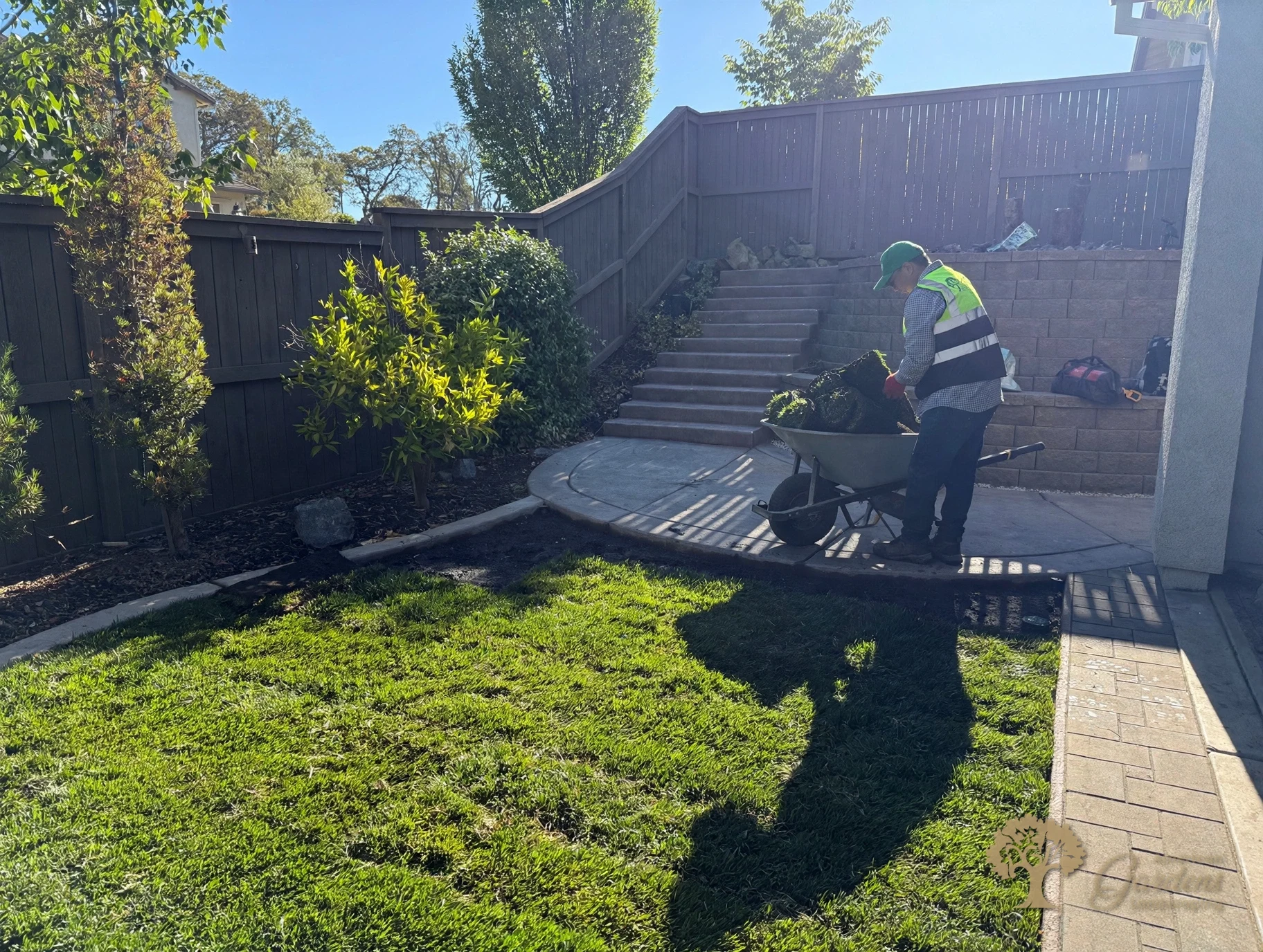 An American Gardens Landscaping crew member hauling sod rolls by wheelbarrow past the terraced stairs as the new lawn goes in, in El Dorado Hills.
