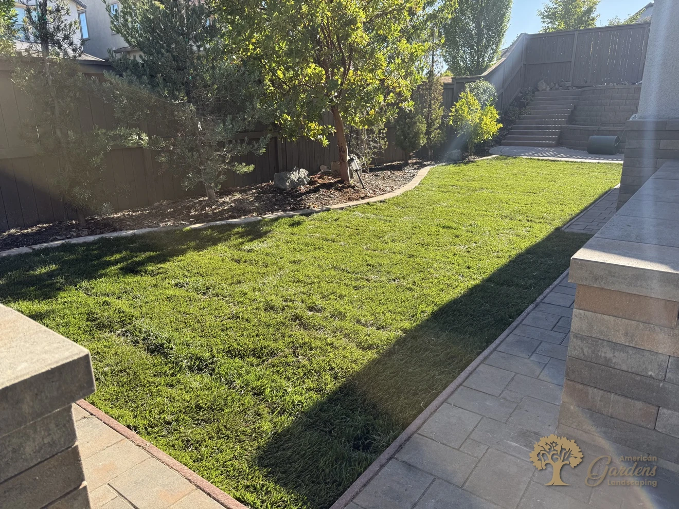 The finished natural-sod lawn with its curved planting border, seen from the planter wall across to the terraced stairs in El Dorado Hills, by American Gardens Landscaping.