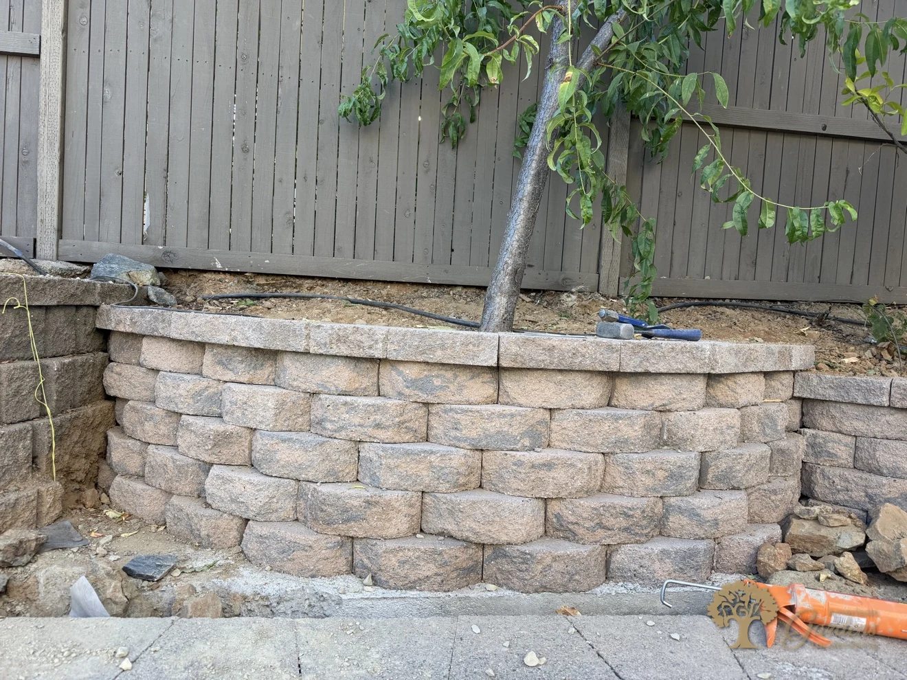 Finished curved block retaining wall terracing the slope under the fence, with a young peach tree above, in El Dorado Hills' Serrano neighborhood, by American Gardens Landscaping.