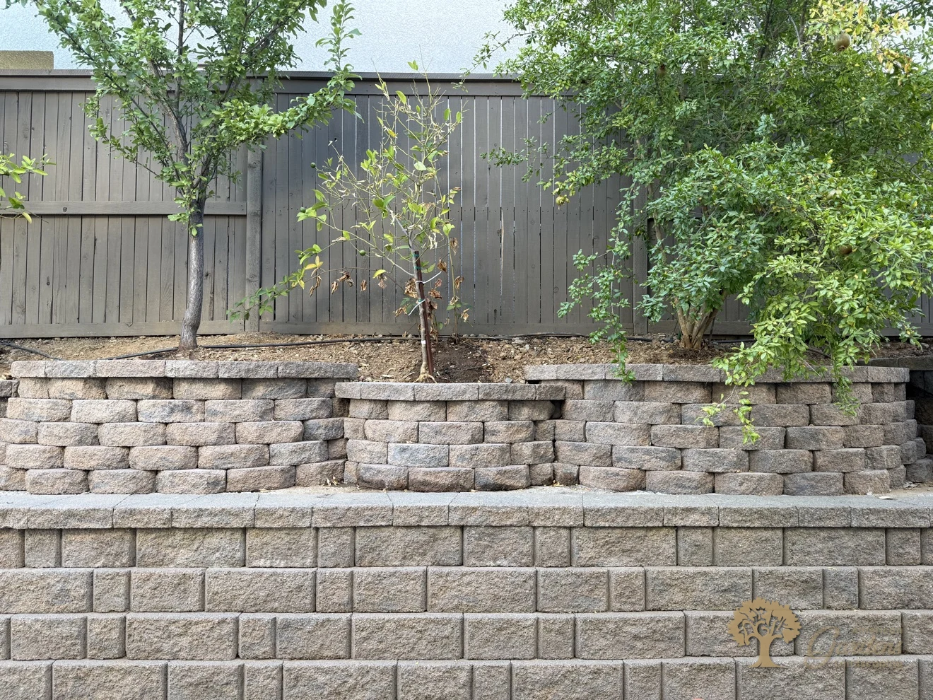 Curved terraced retaining walls with young fruit trees planted on the upper terrace in El Dorado Hills, by American Gardens Landscaping.