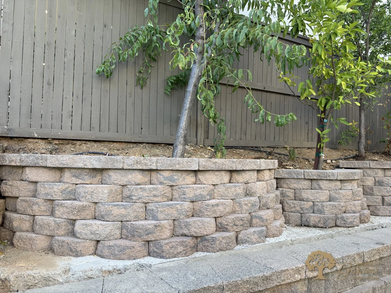 Close-up of a curved block retaining wall with capstones in a Serrano backyard in El Dorado Hills, by American Gardens Landscaping.