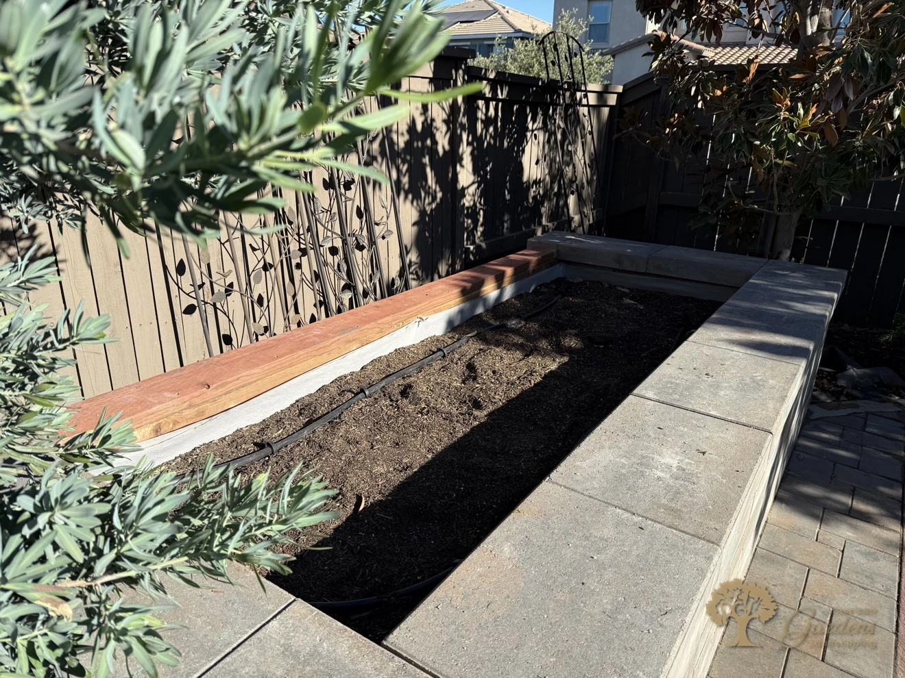 Inside the finished raised bed — fresh soil, a drip irrigation line and a wood cap rail along the fence, ready for planting in El Dorado Hills, by American Gardens Landscaping.