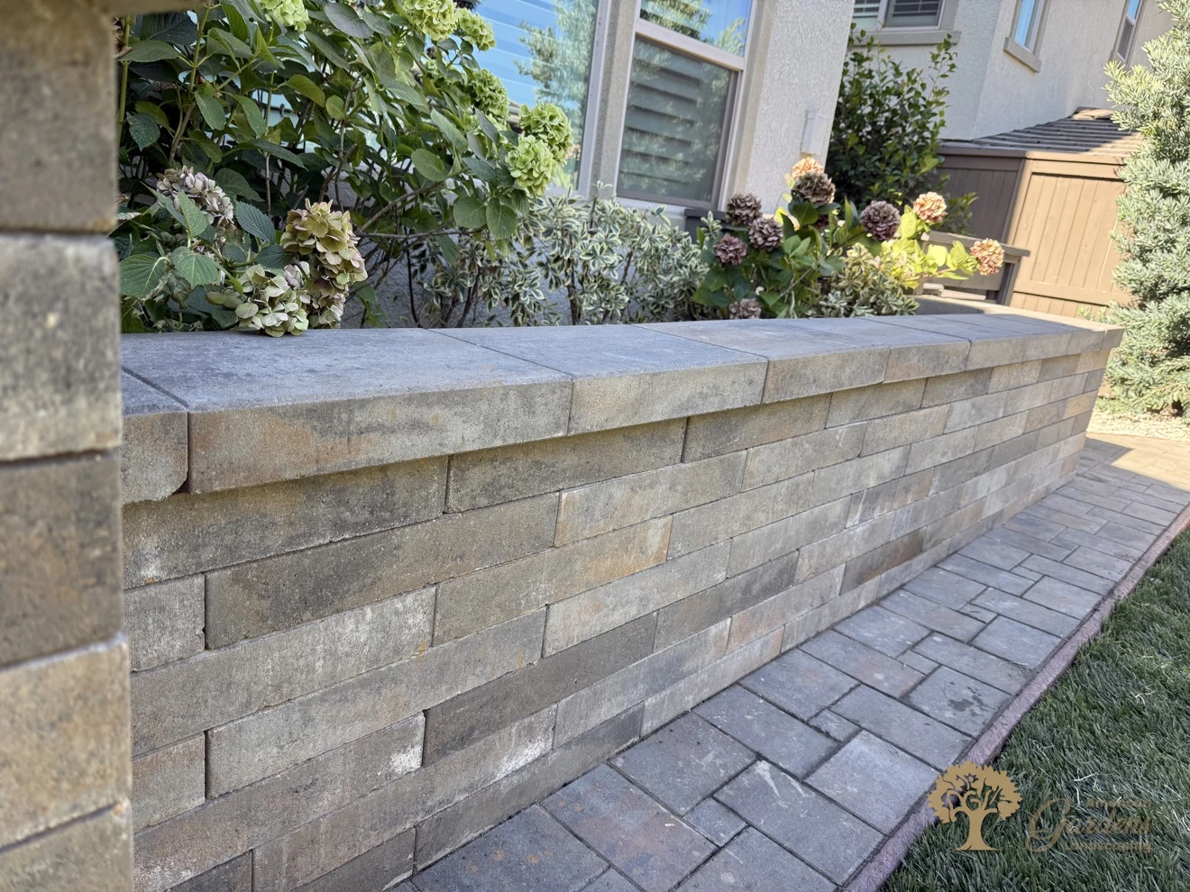 The finished block planter wall with wide capstones and hydrangeas behind it, along the paver walkway in a Serrano backyard in El Dorado Hills, by American Gardens Landscaping.