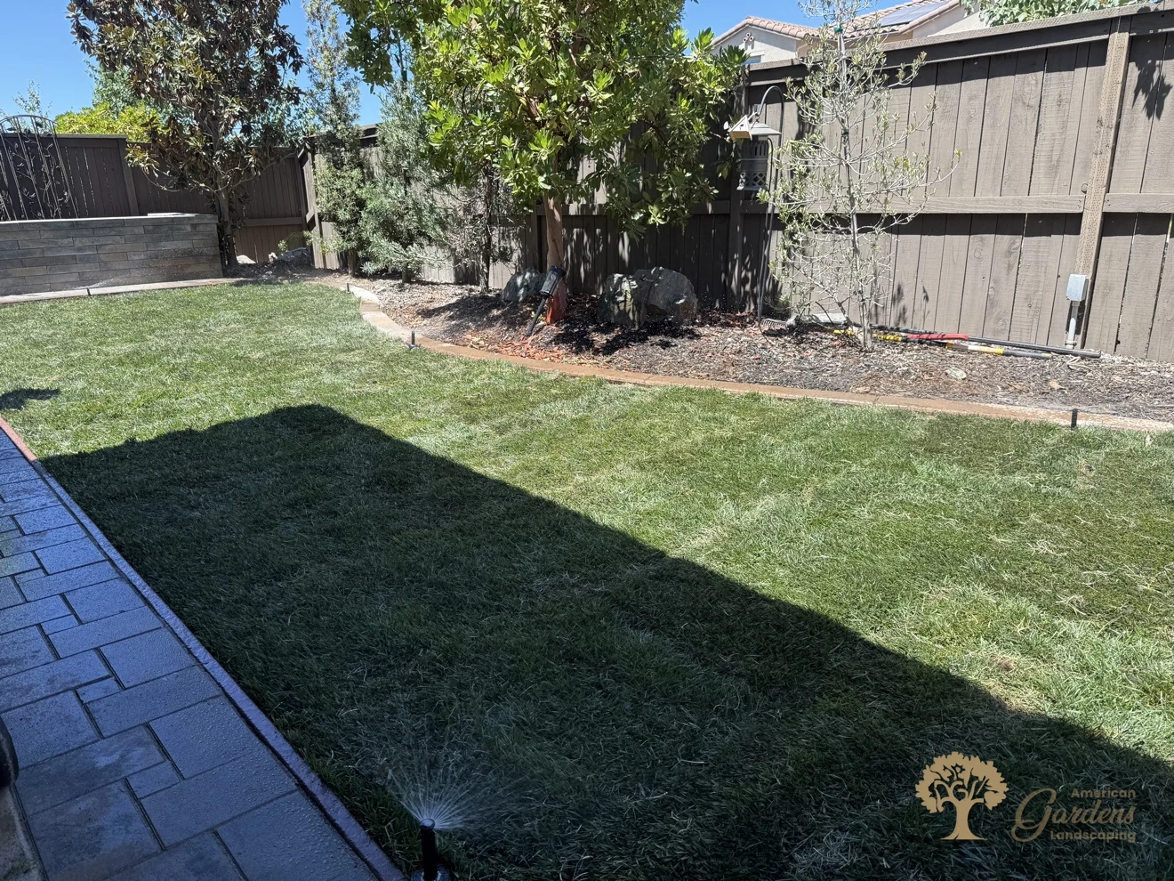 Pop-up sprinklers watering the new sod lawn for the first time in El Dorado Hills, by American Gardens Landscaping.