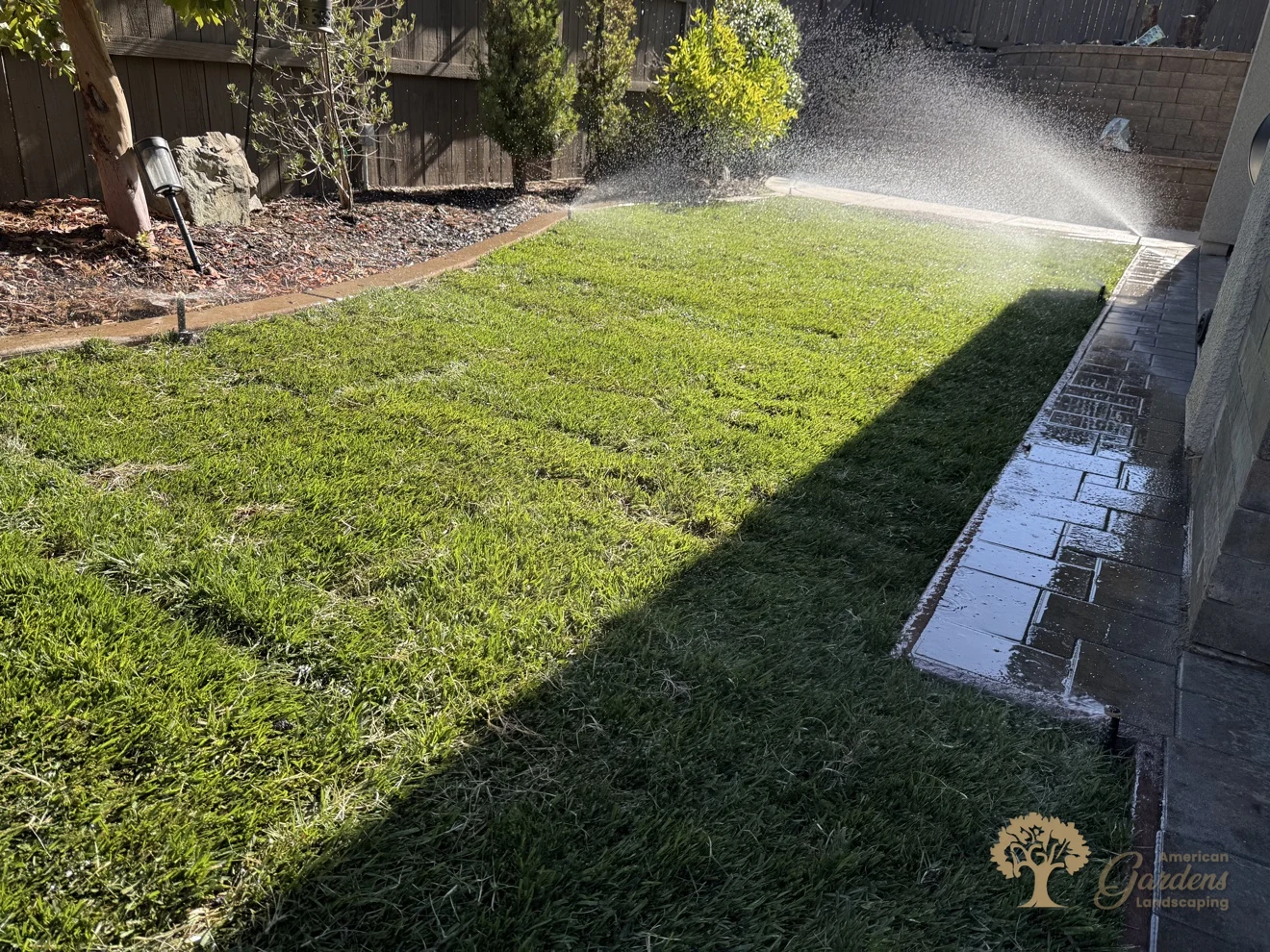 Sprinkler arc covering the new lawn during the final irrigation check in El Dorado Hills' Serrano neighborhood, by American Gardens Landscaping.