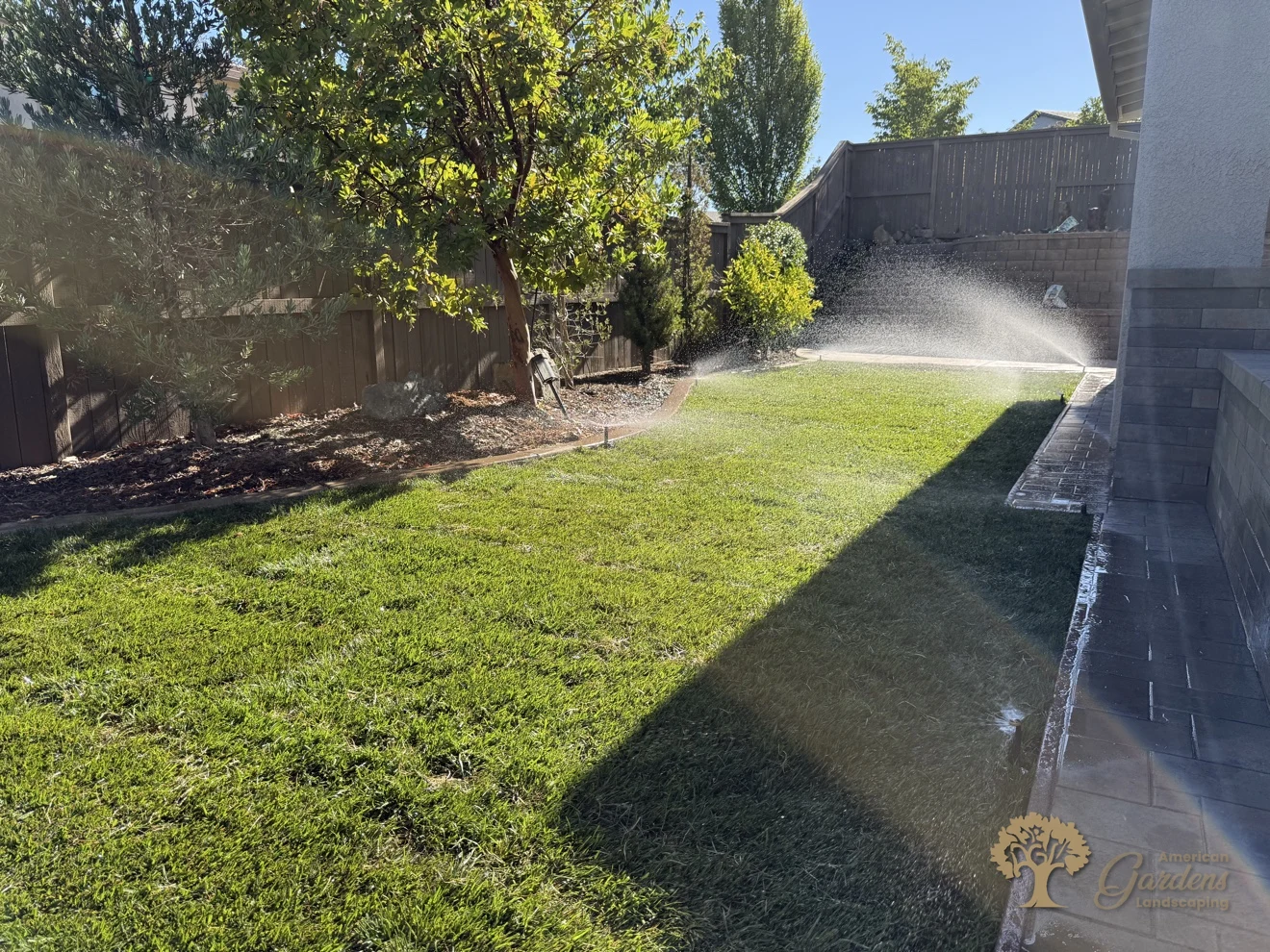 Sprinklers running across the finished backyard and new lawn in a Serrano backyard in El Dorado Hills, by American Gardens Landscaping.
