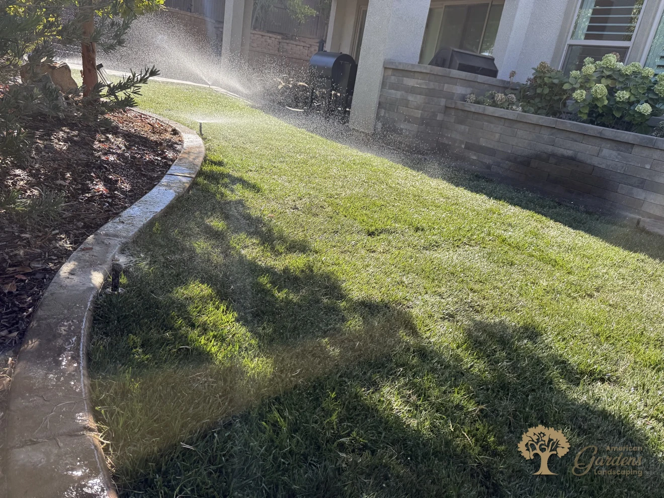 Pop-up sprinklers running across the new lawn for a full watering, with the planter wall and covered patio behind, in El Dorado Hills, by American Gardens Landscaping.