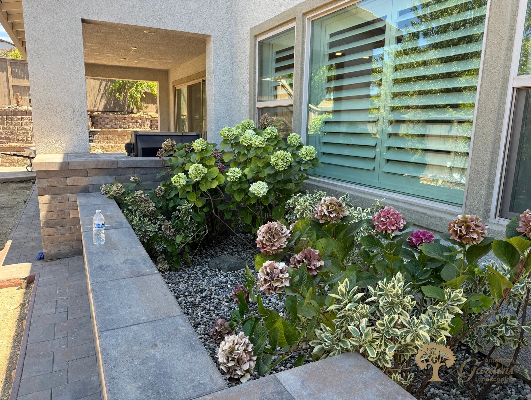 Finished raised planter bed with capstones, hydrangeas and gravel beside the paver walkway along the house in El Dorado Hills' Serrano neighborhood, by American Gardens Landscaping.