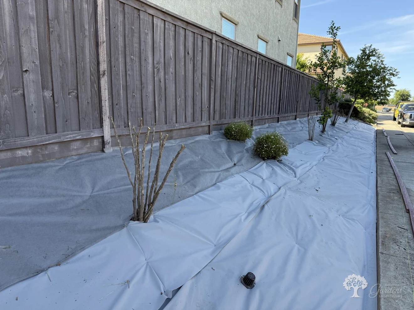 Fair Oaks Planting – American Gardens Landscaping