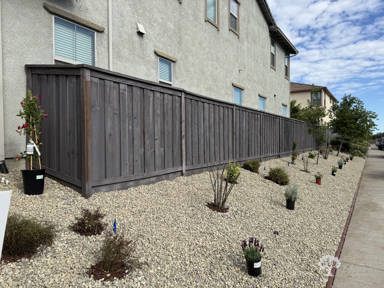 Fair Oaks Planting – American Gardens Landscaping