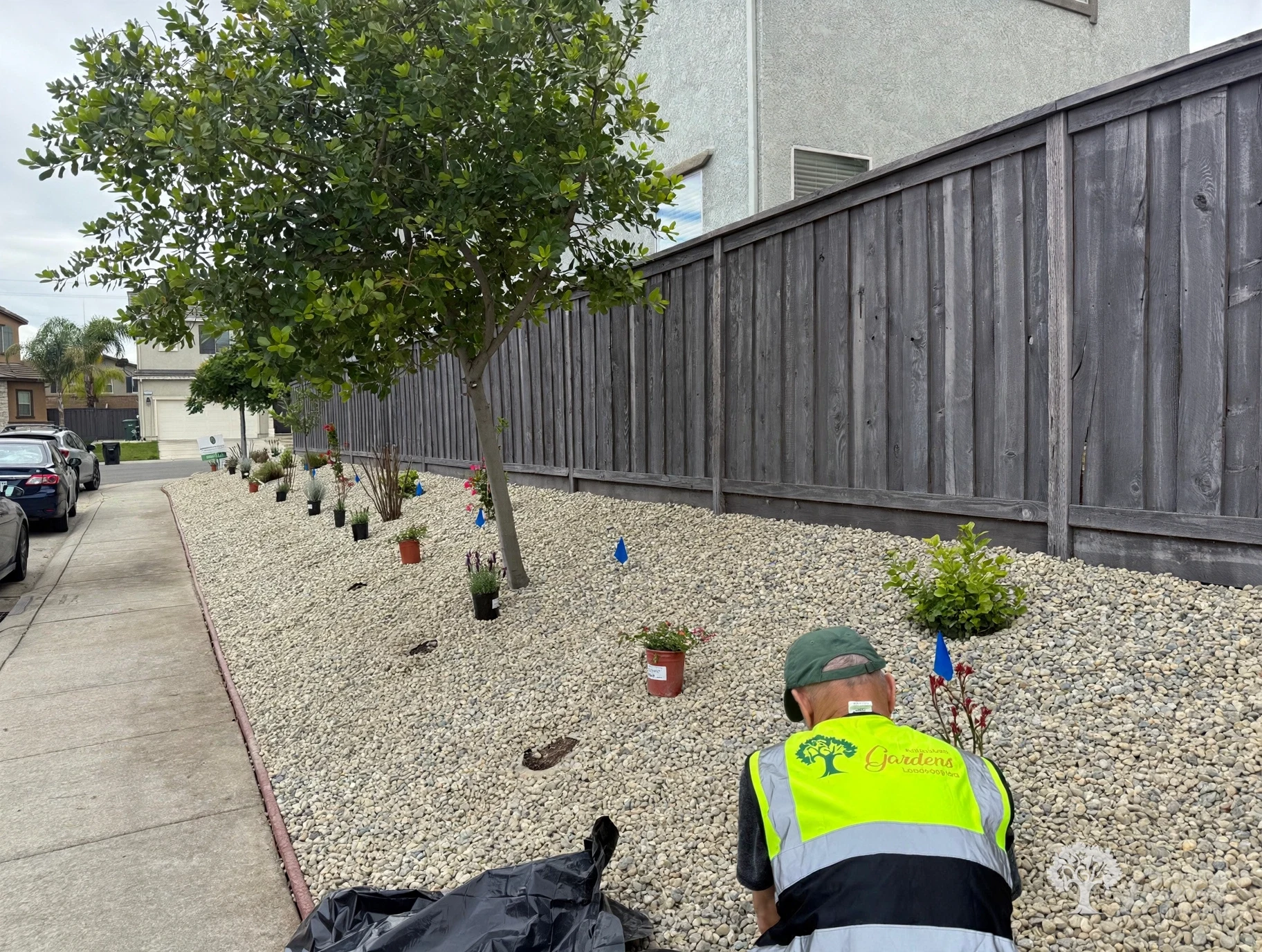 Fair Oaks Planting – American Gardens Landscaping