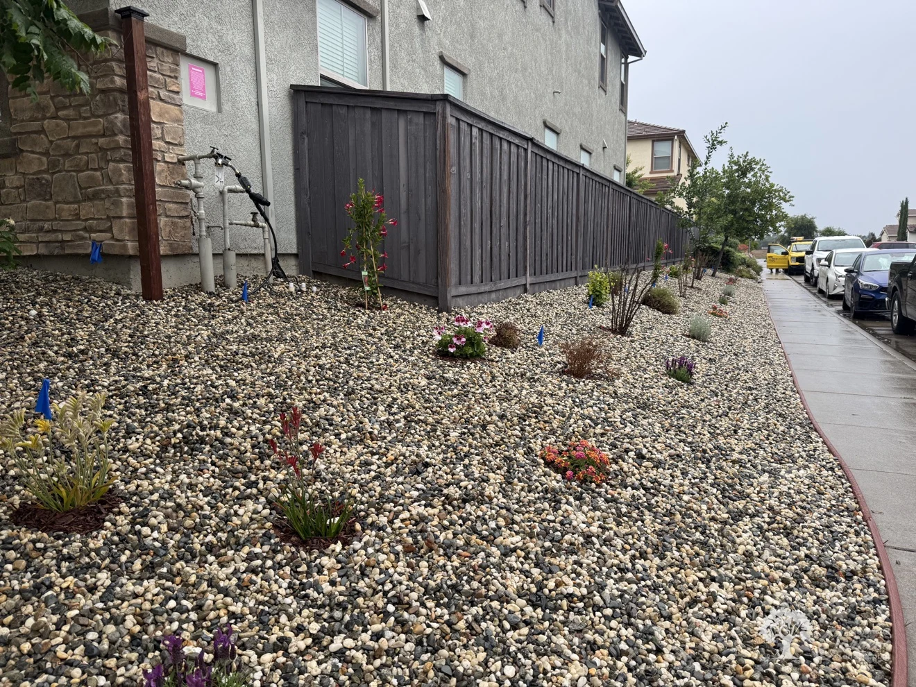 Fair Oaks Planting – American Gardens Landscaping
