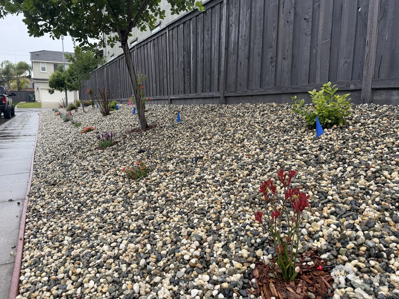 Fair Oaks Planting – American Gardens Landscaping