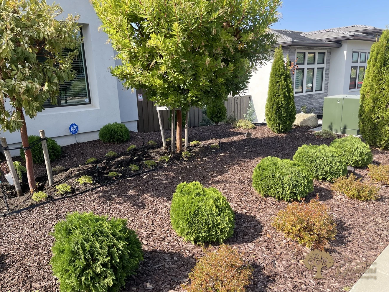 Chocolate bark mulch and new planting in a Folsom front yard