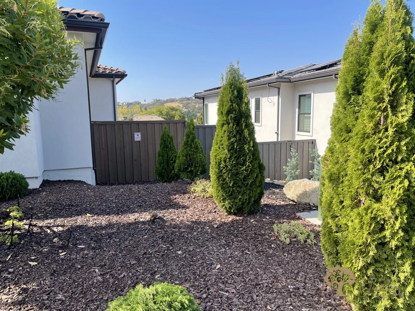 Side yard xeriscaping with chocolate bark and evergreen trees in Folsom