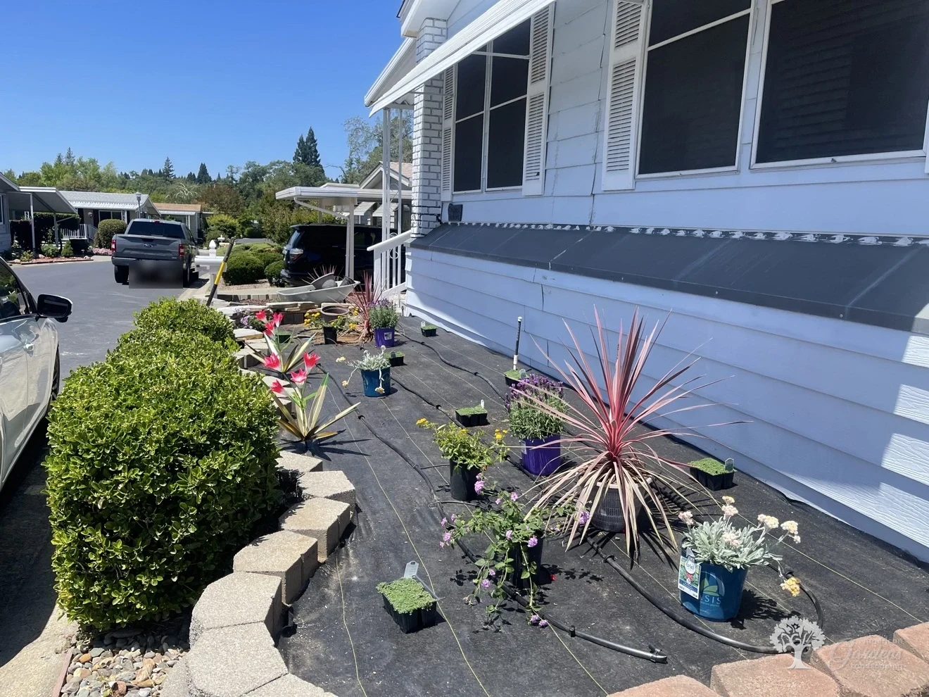 Folsom Planting – American Gardens Landscaping