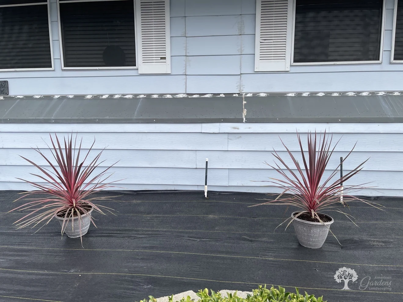Folsom Planting – American Gardens Landscaping