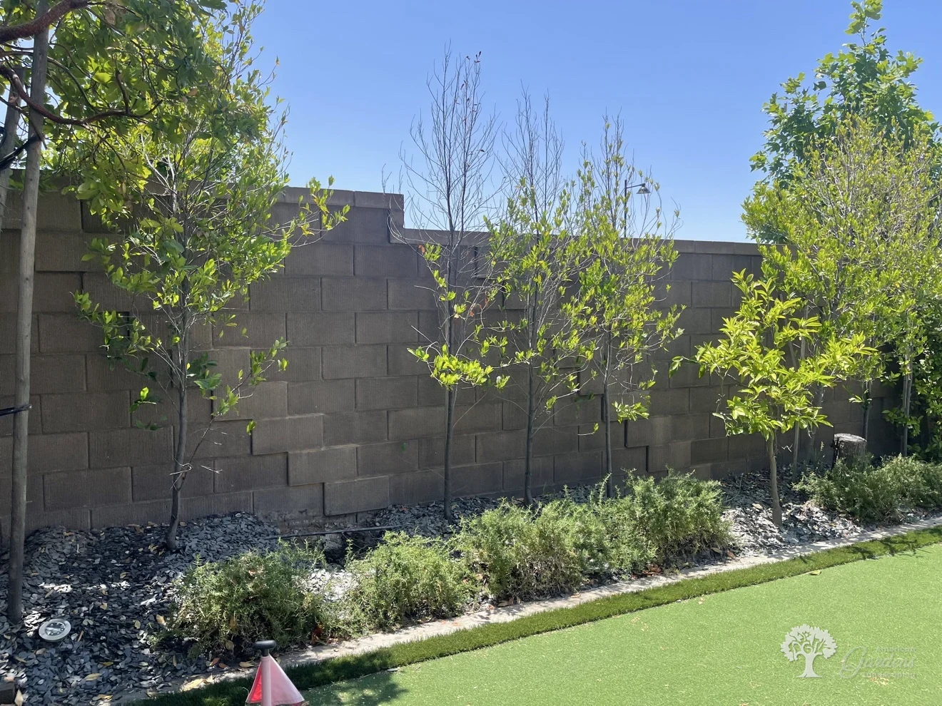 Folsom Planting – American Gardens Landscaping