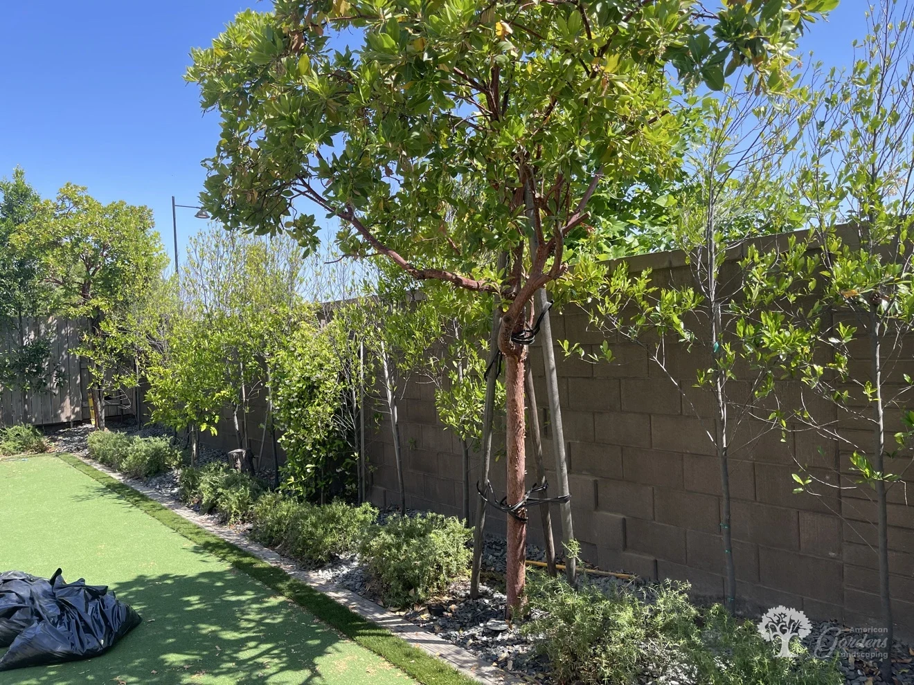 Folsom Planting – American Gardens Landscaping