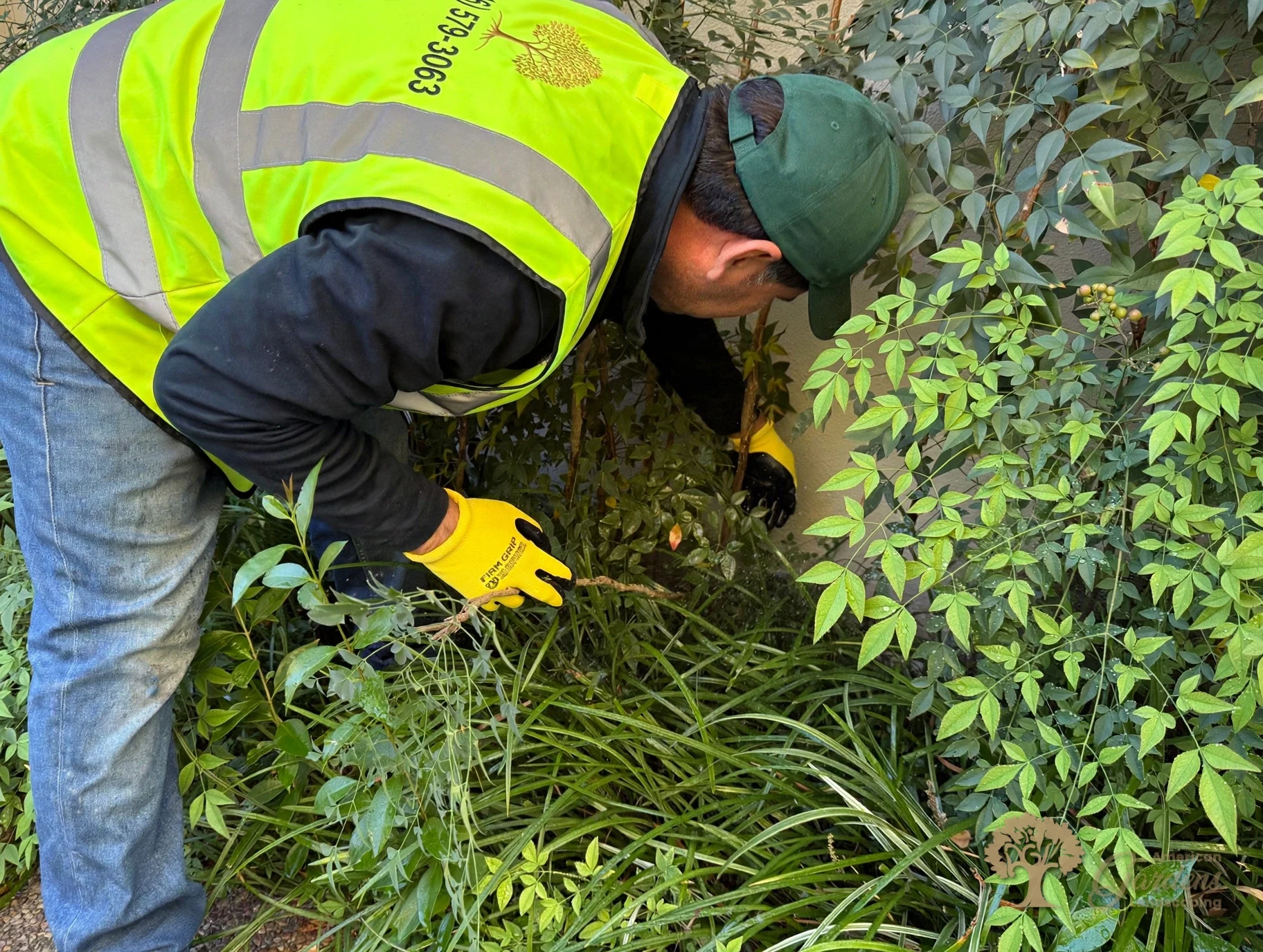 Technician servicing a sprinkler irrigation system in a Fair Oaks garden