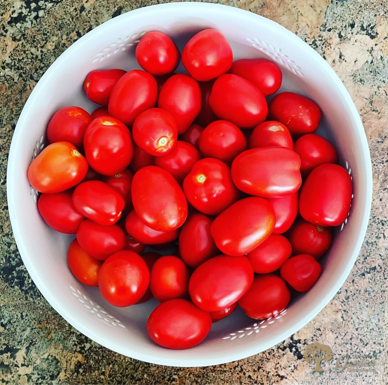 Organic Vegetables – Bowl of Fresh Roma Tomatoes – American Gardens Landscaping