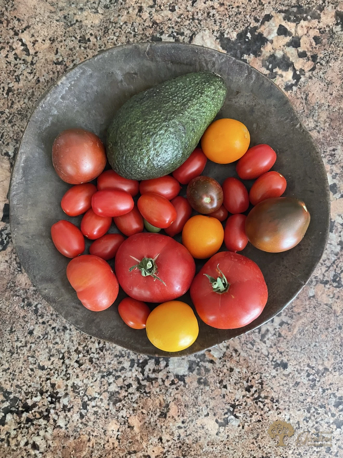 Organic Vegetables – Heirloom Tomatoes and Avocado Harvest – American Gardens Landscaping