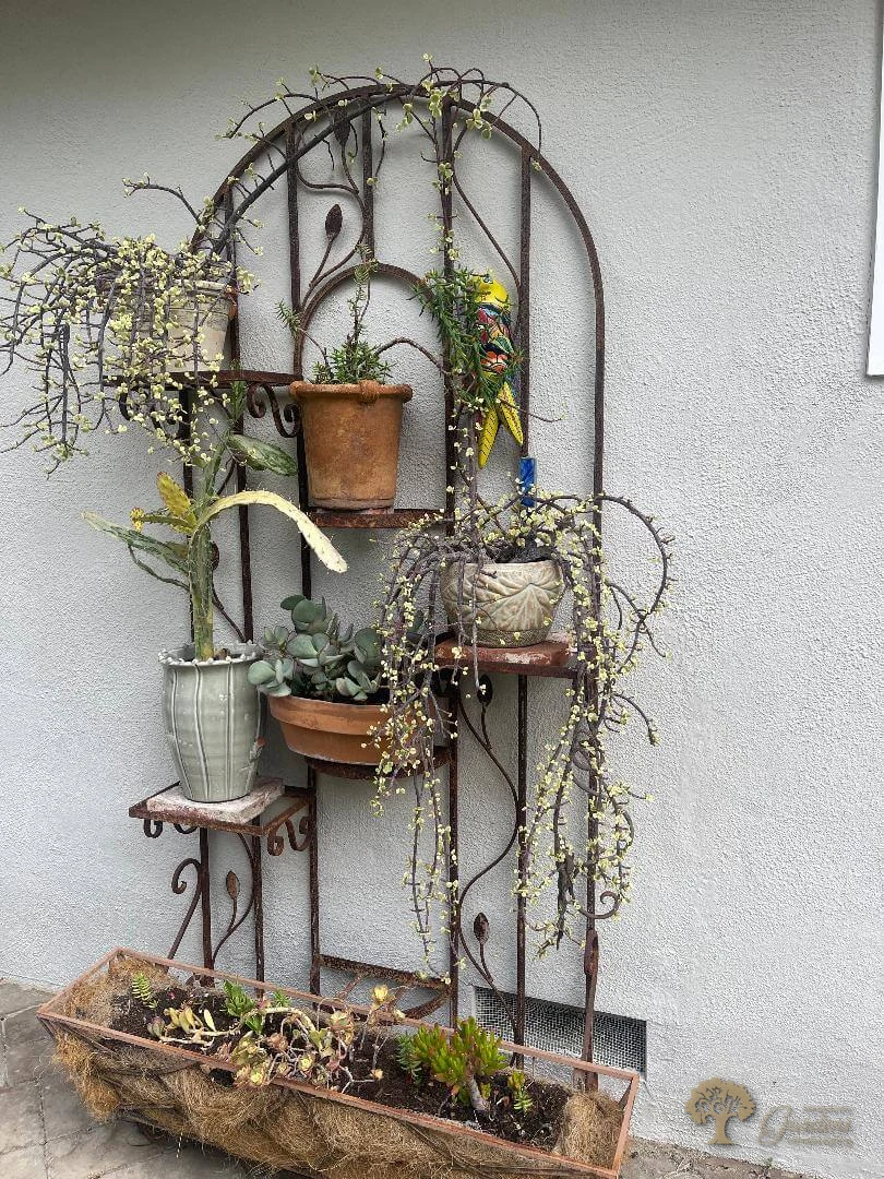 Potted container garden arrangement by American Gardens Landscaping — succulents and trailing plants on a tiered plant stand