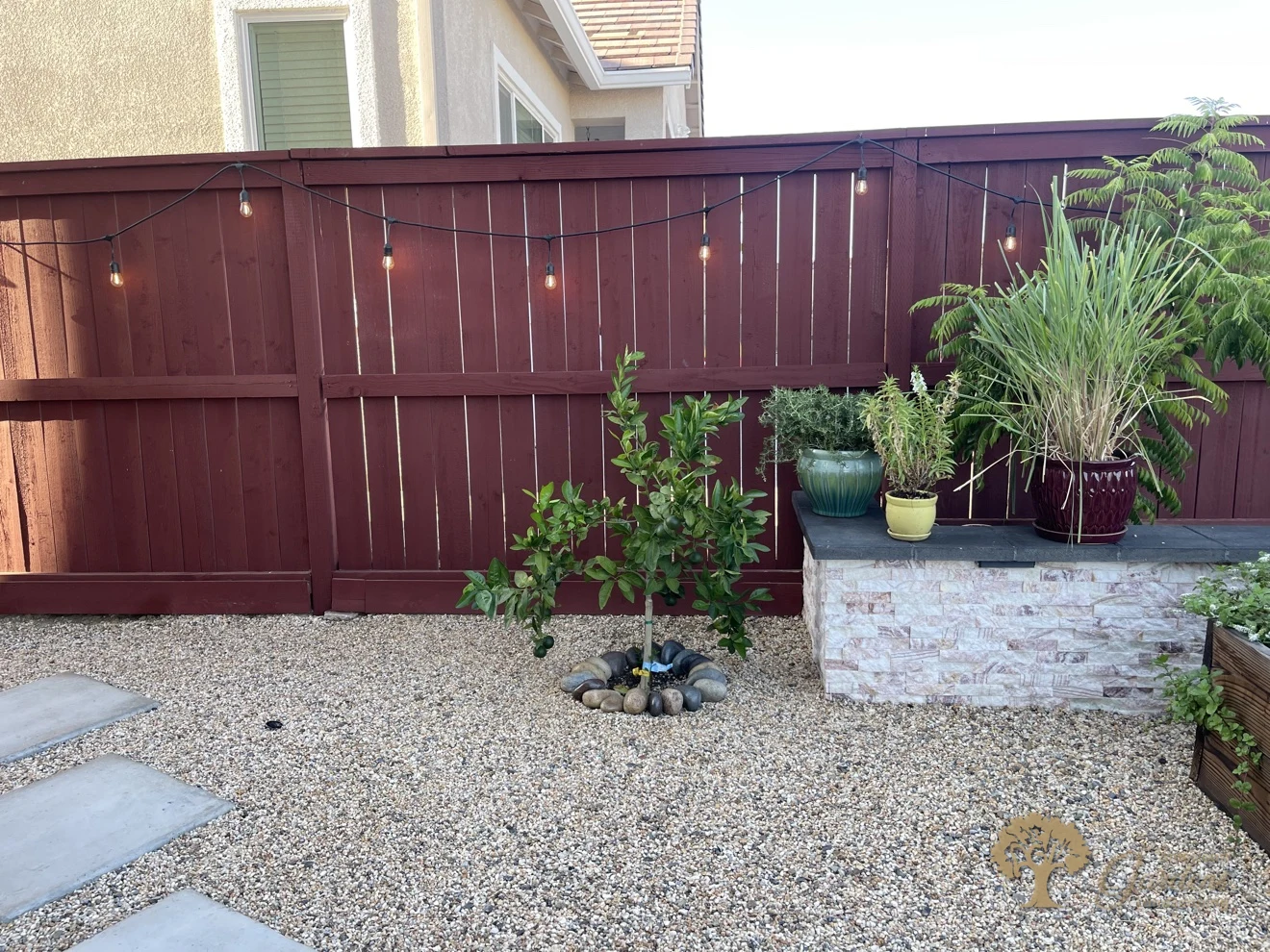 Rocklin Backyard Landscaping – Redwood Fence, Citrus Tree and Stone Planter – American Gardens Landscaping