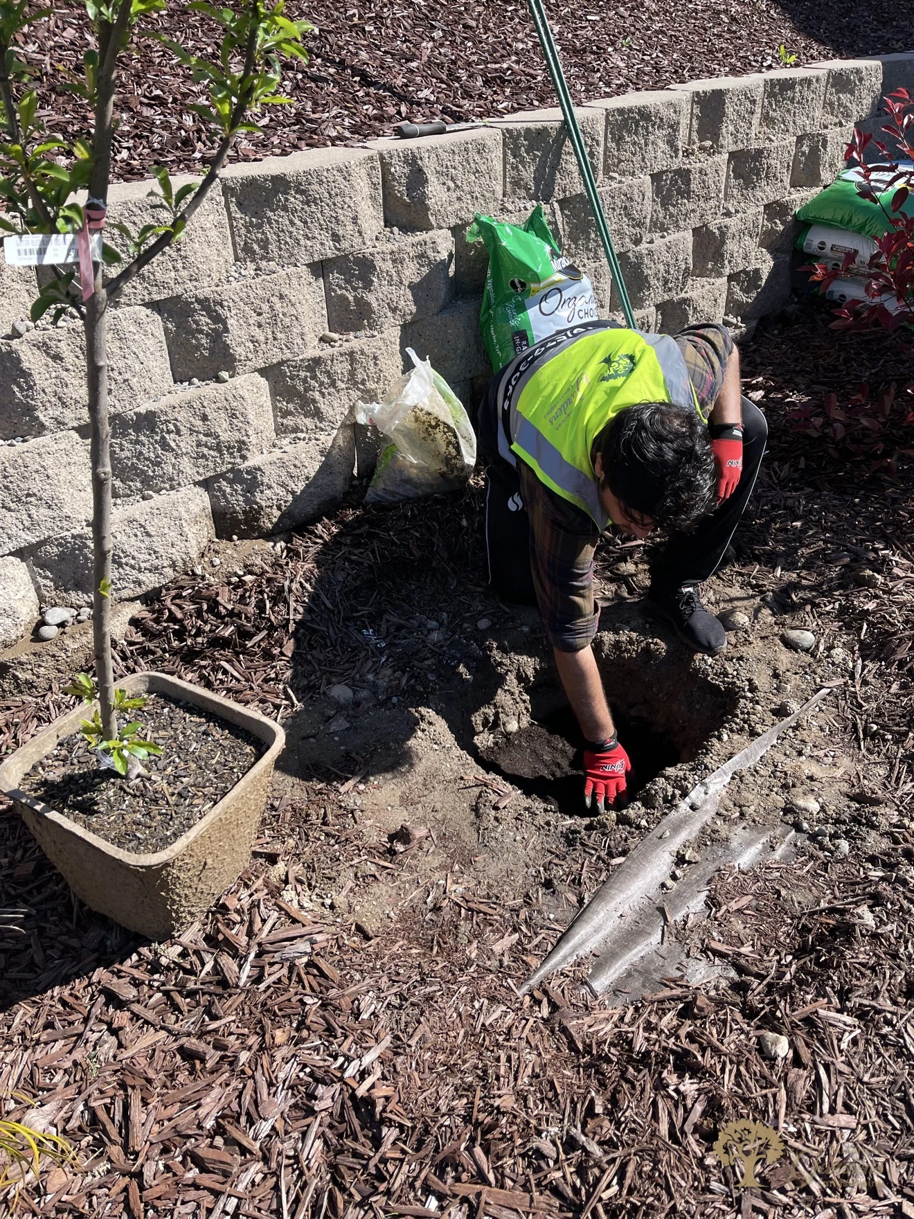 Crew member in a branded American Gardens vest digging a planting hole beside a block retaining wall in Rocklin