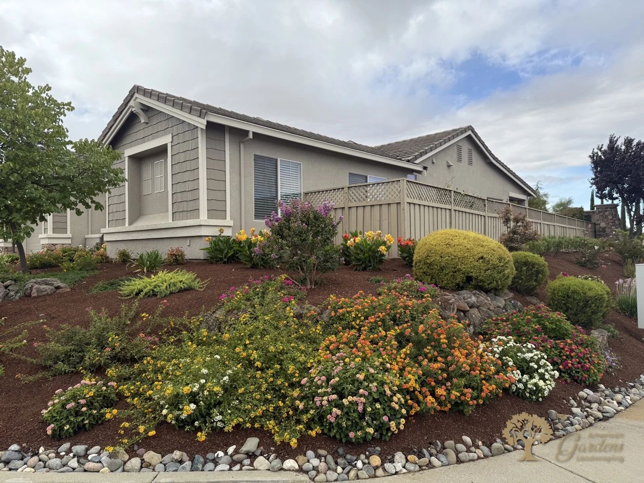 A Roseville front yard with sloped beds of flowering lantana in yellow, orange and pink over fresh dark mulch, edged with a river-rock border below the house and lattice fence, by American Gardens Landscaping.