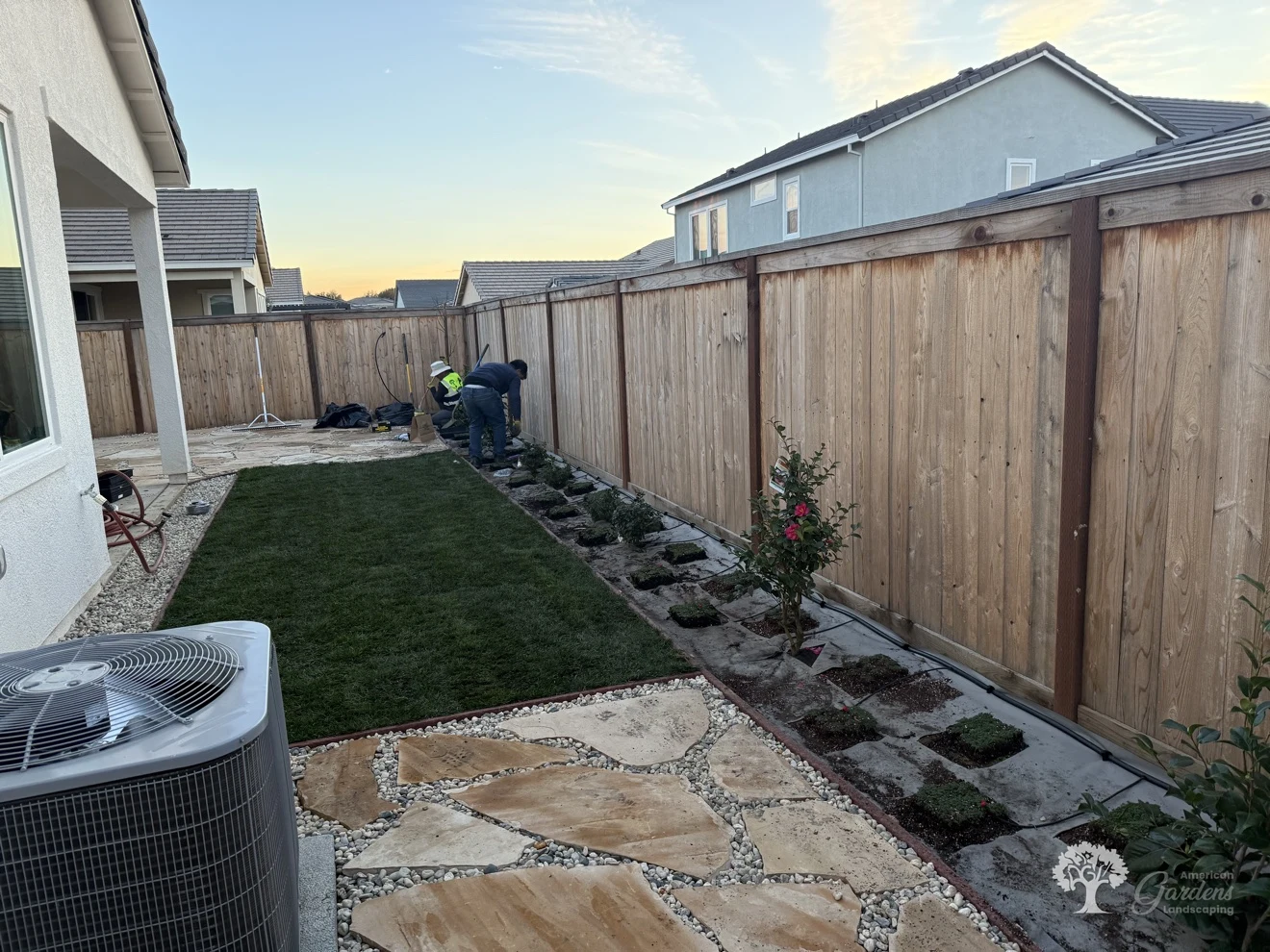 Roseville Planting – American Gardens Landscaping